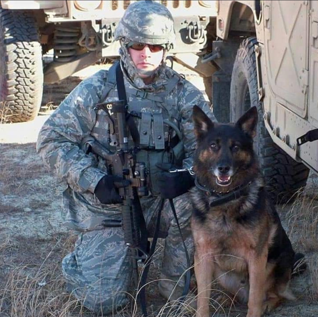 Airman Wilson and German Shephard Brix on duty overseas. Wilson is kneeling next to Brix