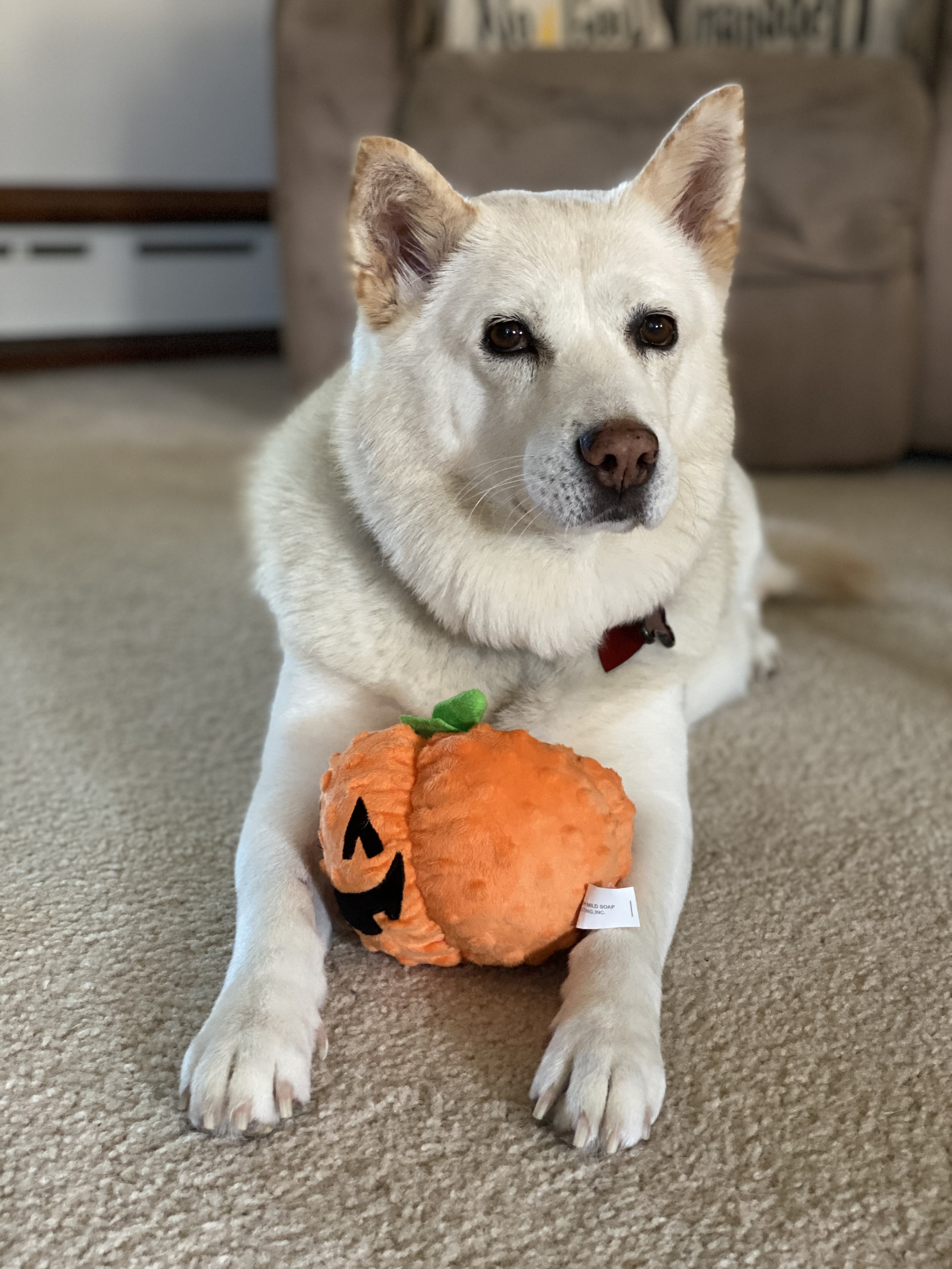 Miki is in her living room, snuggling her favorite pumpkin stuffy. 