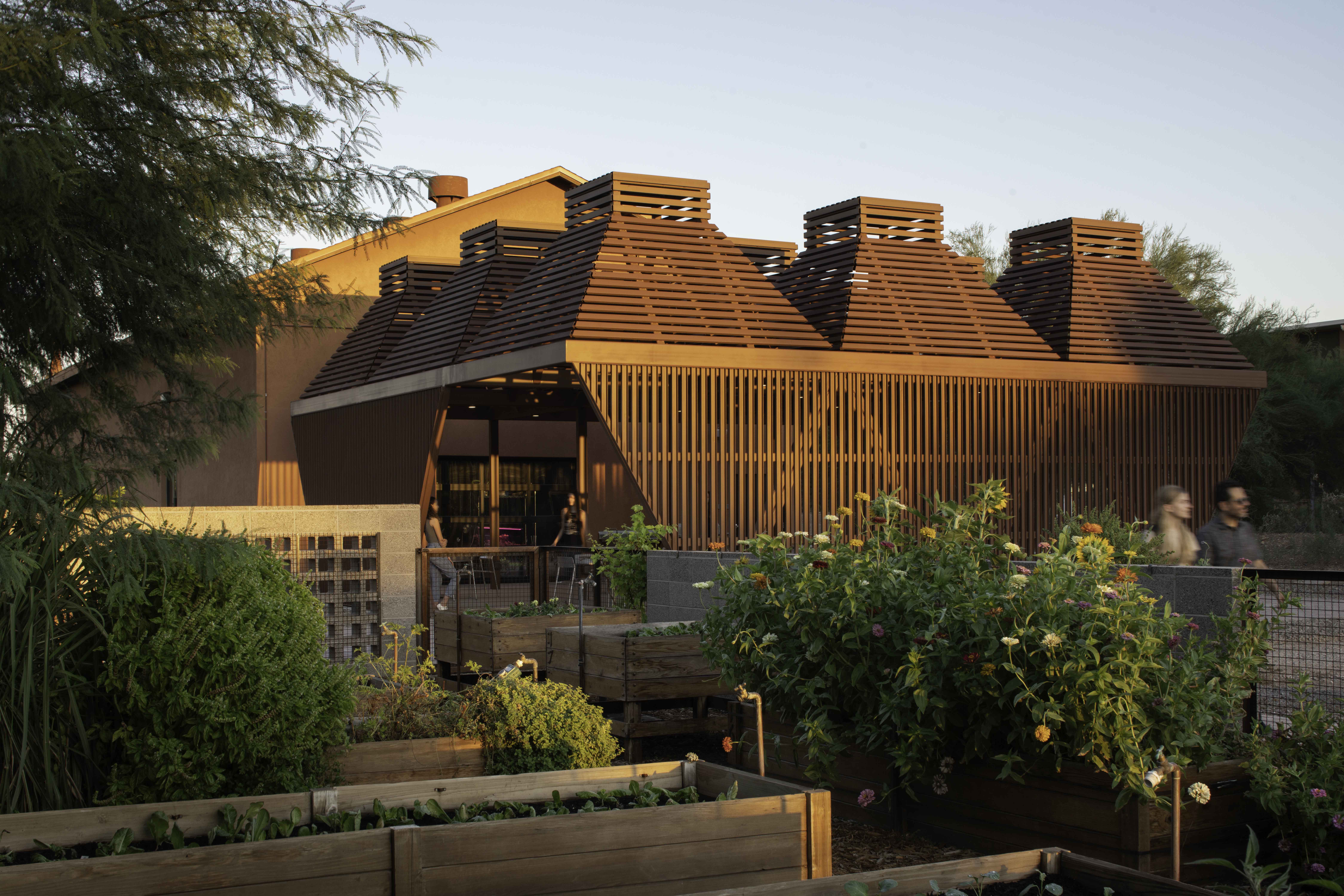 ASU Polytechnic Campus' Outdoor Classrooms