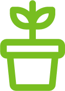 Illustration of a plant in a pot